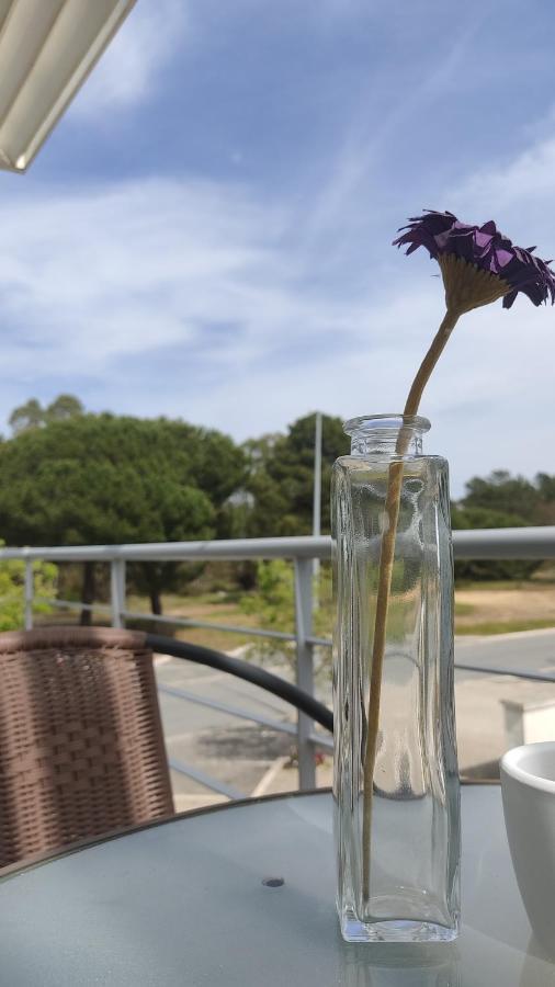 Alojamento Local Verde E Mar Comporta Eksteriør billede